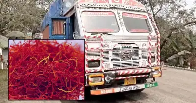 চাঁপাইনবাবগঞ্জে 'রেড গ্রাস' নামে জাফরান জব্দ, বাজারমূল্য ৮ কোটি টাকা
