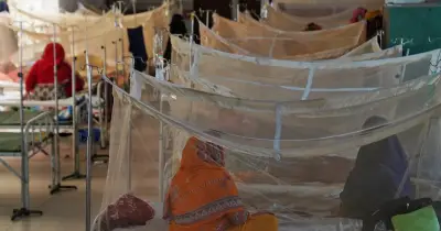 ডেঙ্গু আক্রান্ত ৪৪ জন নতুন রোগী, চলতি বছর মৃত্যু ৪