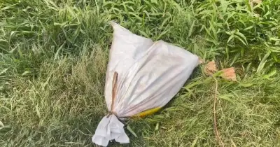 ধামরাইয়ে ব্যান্ডেজে মোড়ানো পায়ের খণ্ডিত অংশ উদ্ধার, পুলিশের তদন্ত চলছে