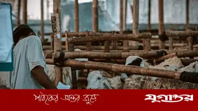 কুরবানি ওয়াজিব হওয়ার জন্য কতটুকু সম্পদ প্রয়োজন?