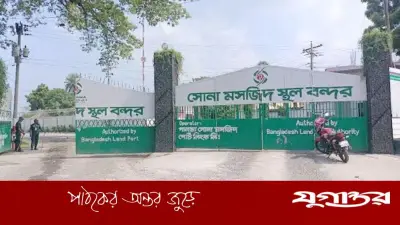 শুল্ক ফাঁকি দিতে 'লাল ঘাস' ঘোষণা দিয়ে জব্দ ৮ কোটি টাকার জাফরান