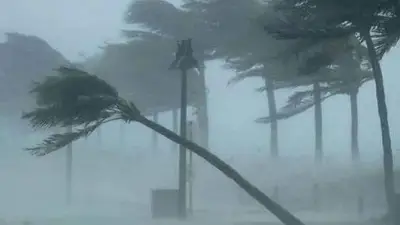 বিচারপতি মনিরুজ্জামান হাইকোর্টে ৬৩ বেঞ্চ গঠন, মেসির বিরুদ্ধে মামলা ও ডলফিন মৃত্যু