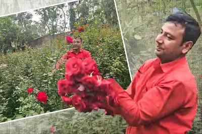 বাংলাদেশে অনলাইন শিক্ষার চ্যালেঞ্জ ও সম্ভাবনা নিয়ে নতুন গবেষণা প্রকাশ