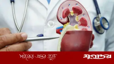 তাপপ্রবাহে বাড়ছে কিডনি রোগের ঝুঁকি, বিশেষজ্ঞদের সতর্কতা
