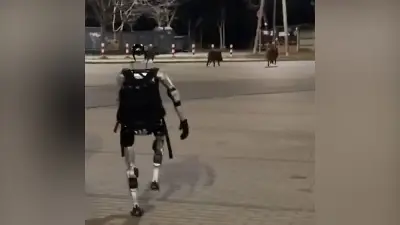 বিশ্বজুড়ে অনলাইন শিক্ষার জনপ্রিয়তা বাড়ছে, নতুন সম্ভাবনার দ্বার খুলছে