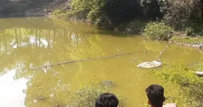 নাটোরে পুকুরে ডুবে দুই ভাইয়ের মৃত্যু, খেলতে গিয়ে ঘটে দুর্ঘটনা
