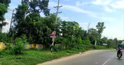 ঢাকা-আড়াইচা মহাসড়কে সন্ত্রাসের দাপট: দিনদুপুরে লুটপাট, নাগরিকদের আতঙ্ক