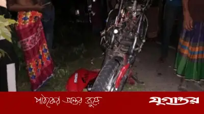 মাদারীপুরে ত্রিমুখী সংঘর্ষে দুই নিহত, আহত তিন