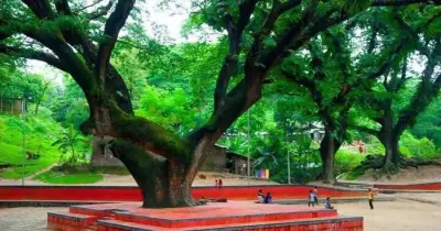 চট্টগ্রামের 'ফুসফুস' সিআরবিতে হাসপাতাল নির্মাণের নতুন উদ্যোগ, পরিবেশবাদীদের তীব্র প্রতিবাদ