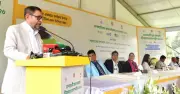 স্বাস্থ্যমন্ত্রী বললেন, অনিয়মিত টিকাদানে বাড়ছে হামের প্রকোপ