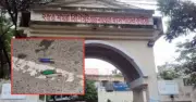 কুষ্টিয়ার দৌলতপুরে দুর্বৃত্তদের গুলিতে ইউনিয়ন স্বেচ্ছাসেবক দলের আহ্বায়কসহ ১০ জন আহত
