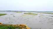 চট্টগ্রামে ধানক্ষেত তলিয়ে যাওয়ায় ক্ষতিগ্রস্ত কৃষকদের বিক্ষোভ, সংঘর্ষে আহত ৩০
