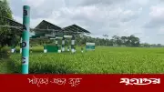 সৌরবিদ্যুতে সেচ: পিরোজপুরের কৃষকদের ভোগান্তি দূর, খরচ অর্ধেক