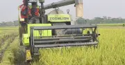 জ্বালানি সংকটে সুনামগঞ্জের কৃষকদের ধান কাটা নিয়ে দুশ্চিন্তা, হারভেস্টার যন্ত্রপাতি অচল