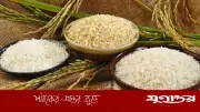 বোরো মৌসুমে ধান-চালের সরকারি দাম নির্ধারণ: ধান ৩৬ টাকা, সিদ্ধ চাল ৪৯ টাকা কেজি