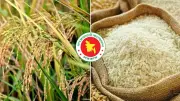 ধান-চালের দাম নির্ধারণ, এসএসসি পরীক্ষায় বহিষ্কার ও অনুপস্থিতি, ভারত থেকে ৭ হাজার টন ডিজেল আসছে