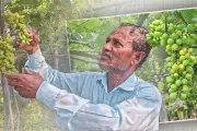 স্বপ্নের পথে বাংলাদেশের তরুণ প্রযুক্তি উদ্যোক্তারা
