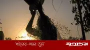 তীব্র গরমে পুড়ছে দেশ, স্বস্তির খবর দিল আবহাওয়া অফিস