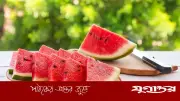 ফ্রিজ ছাড়াই ১০ মিনিটে তরমুজ বরফ-ঠান্ডা করার কৌশল