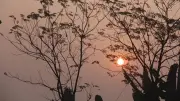 একঝলকে দিনের নানা মুহূর্ত: ১৯টি ছবিতে ২৪ এপ্রিল