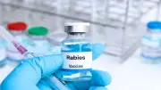 জলাতঙ্ক টিকার সংকট ও মজুত নিয়ে বিভ্রান্তি