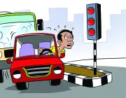 গাড়ি বিক্রি করে গাধা কেনা: রজব আলীর গল্প