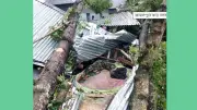 যশোরে ঝড়ে গাছচাপায় মা-মেয়ে নিহত, প্রধানমন্ত্রীর যাত্রা