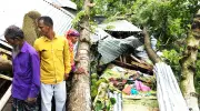 জামালপুরে ঝড়ে গাছ পড়ে মা ও দুই মেয়ের মৃত্যু