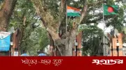 বেনাপোল-পেট্রাপোল ৩ দিন যাতায়াত বন্ধ, আটকা তিন শতাধিক