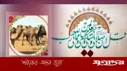 কুরবানি: ওয়াজিব না সুন্নাতে মুয়াক্কাদাহ? ইসলামী দৃষ্টিভঙ্গি