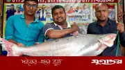 ২৫ কেজি পাঙ্গাশ মাছ ৭০ হাজার টাকায় বিক্রি
