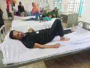 কলারোয়ায় সাংবাদিককে মারধর, বিএনপি-ছাত্রদলের নেতাকর্মীদের বিরুদ্ধে অভিযোগ