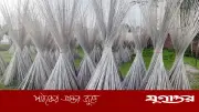 পাটকাঠি থেকে গ্রাফিন তৈরির সাফল্যে বিশ্বে চমক গবেষকদের