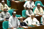 বিএনপি কীভাবে মুক্তিযুদ্ধের দল হতে পারে: জামায়াত এমপি