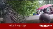 কালবৈশাখীর তাণ্ডবে রাঙ্গুনিয়ায় বিদ্যুৎ বিপর্যয়, ২৬ খুঁটি বিধ্বস্ত