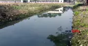 আগামী ৫ বছরে ২০ হাজার কিমি খাল খননের পরিকল্পনা
