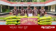 কুড়িগ্রাম সীমান্তে ৩৬ লাখ টাকার ভারতীয় পণ্য জব্দ