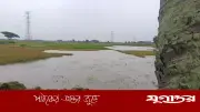 পাকুন্দিয়ায় টানা বৃষ্টিতে বোরো ধানের ব্যাপক ক্ষতি