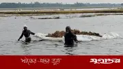 বন্যার পানিতে তলিয়ে গেছে হাওড়ের ধান, কৃষকরা দিশেহারা