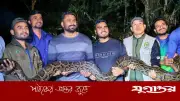মৌলভীবাজারে ১৪ ফুট লম্বা অজগর সাপ উদ্ধার, লাউয়াছড়া উদ্যানে অবমুক্ত