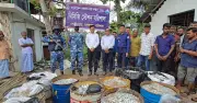 ঝালকাঠির নলছিটিতে কোস্ট গার্ডের অভিযানে ১৭০০ কেজি জাটকা জব্দ, তিনজন জরিমানা