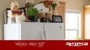 ফ্রিজের ওপর ভুলেও রাখবেন না যেসব জিনিস, বাস্তু ও স্বাস্থ্যের জন্য ক্ষতিকর