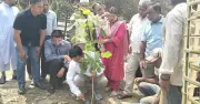 জলবায়ু পরিবর্তন মোকাবিলায় রাঙামাটিতে ৪১ হাজার গাছ রোপণের উদ্যোগ
