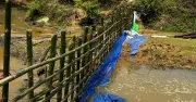 খাগড়াছড়ির হালদা নদীতে অবৈধ বাঁধ উচ্ছেদে মৎস্য বিভাগের অভিযান