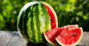 ভালো তরমুজ চেনার ৭টি কার্যকরী পরামর্শ: ঠকবেন না আর