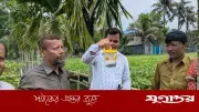 মানিকগঞ্জে শসাখেত পরিদর্শন: কৃষি বিভাগের তৎপরতা, নিম্নমানের বীজে কৃষকের ক্ষতি