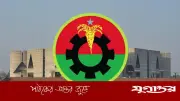 সংসদ অধিবেশন দুই বেলা, ১৩৩ অধ্যাদেশ আইনে রূপান্তরের তাগিদ