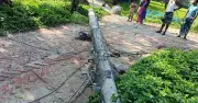 কুমিল্লার মনোহরগঞ্জে ঝড়ে বিদ্যুৎ লাইন বিধস্ত, টানা ৩৬ ঘণ্টা বিপাকে হাজারো গ্রাহক