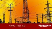 নাটোরে বিদ্যুৎ বন্ধ: গাছ ছাঁটাইয়ের কাজে আজ ৮ ঘণ্টা লোডশেডিং