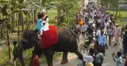 জয়পুরহাটে ব্যতিক্রমী বিয়ে: হাতির পিঠে বর, ঘোড়ার গাড়িতে নববধূ